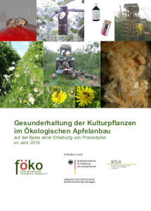 Broschüre 2018