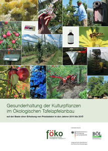 Broschüre 2019